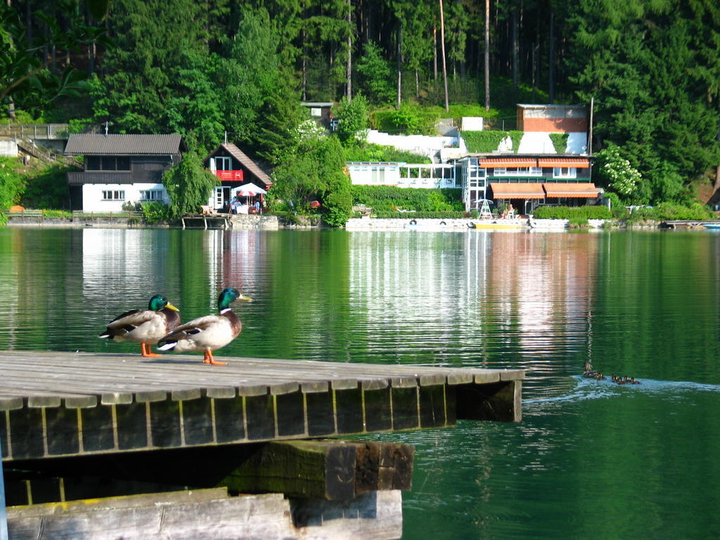 Villa Mayr Villach Zewnętrze zdjęcie